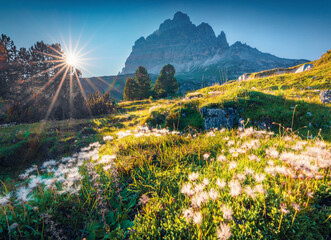 Beautiful summer scenery. Adorable morning view of western slope of Tre Cime di Lavaredo mpountain...
