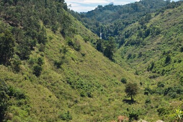 Scenic view of a waterfall in Aberdares, Kenya