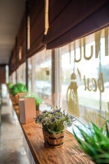 flower on a wooden windowsill in a cafe