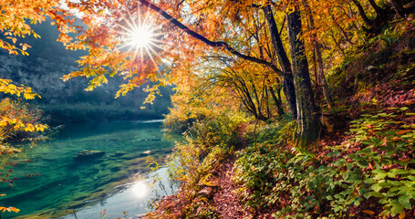Beautiful autumn scenery. Sunny morning view of pure water river in Plitvice National Park. Amazing autumn scene of Croatia, Europe. Abandoned places of Plitvice lakes series.