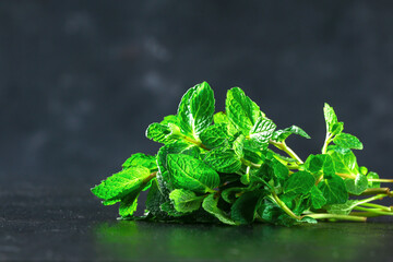 Green culinary herb mint on a black background. Peppermint, spearmint.