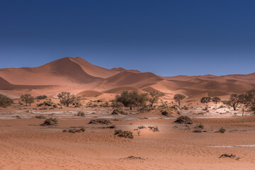 Fototapeta na wymiar Waves of sand Desert Dunes - Namibia