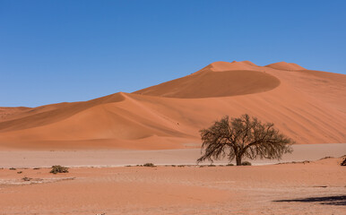 Fototapeta na wymiar Dune 45 - Sossusvlei National Park, Namibia