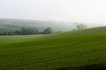 Moravian hills in golden  autumn