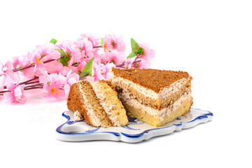 Cake, a slice of delicious honey cake. A piece of cake on a porcelain platter. Isolated on a white background is a sweet dessert. selective focus.