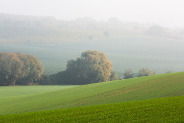 Fototapeta premium Moravian hills in golden autumn
