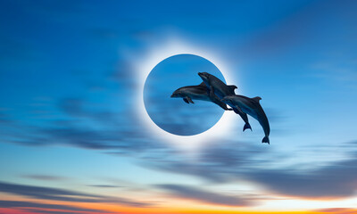 Group of dolphins jumping on the water - Beautiful seascape and sunset sky - on the background Solar eclipse