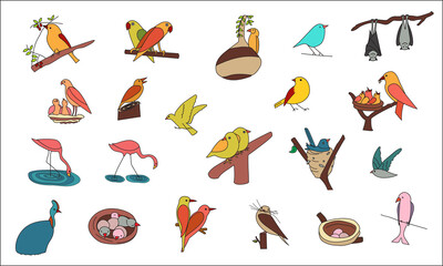 set of 21 bird icons, birds, birdies, eggs, nest, birds sleeping, flamingoes, parrots, flying birds, birds eating fruit, birds making nest, birds feeding babies, baby birds, lovely birds couple, bats