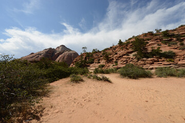 Scenic view of the rocky terrain at Zion National Park