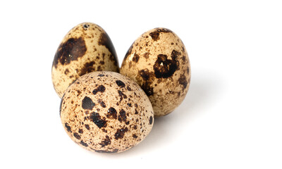 Obraz premium quail egg isolated on white background.