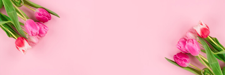 Fototapeta premium Banner with beautiful colorful tulips on light pink background with copy space. Design for greeting card - Mother's Day, Women Day, 8 March or Valentines Day concept, selective focus