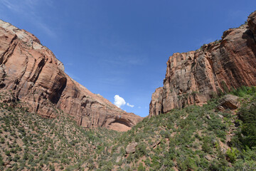 Scenic view of the mountains, cliffs and trees at Zion National Park on a sunny day