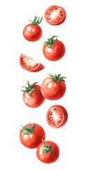 Falling Fresh ripe cherry tomatoes. Hand drawn watercolor illustration, isolated on white background