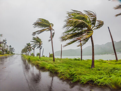 Tropical storm, heavy rain and high winds in tropical climates