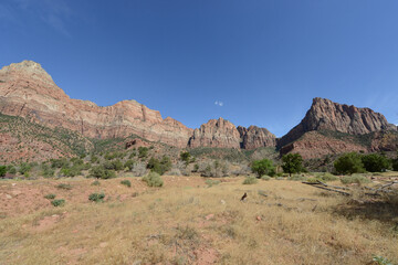 Landscape view of the cliffs and trees at Zion National Park on a sunny day