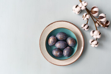 Easter concept of coloring eggs in hibiscus, eco diy. Top view, light background and turquoise plate with white cotton plant as decoration.