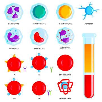 Blood Cells Set