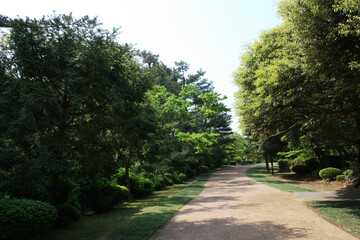 Beauty of Jeju Island: Seascape, Landscape