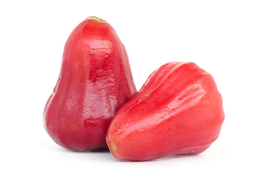 Whole rose apple or chomphu isolated on white background.