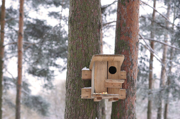 birdhouse on a tree in winter time