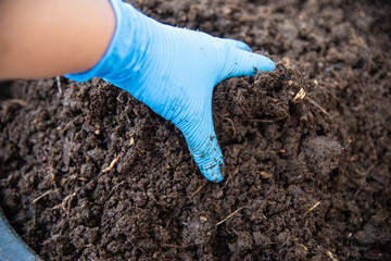 Organic fertilizers with worm AF.