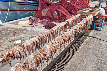 Tintenfische im Hafen von Naoussa, Insel Paros, Kykladen, Griechenland