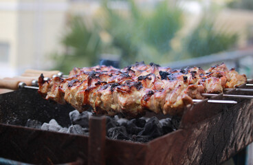 shish kebab on the grill