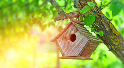 birdhouse on a tree rays of the sun