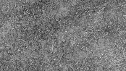 Gray ash as a background.