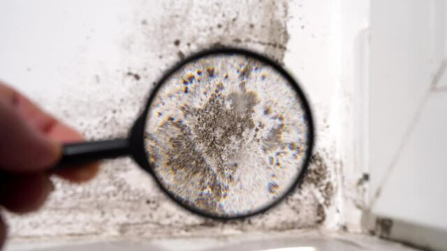view through a magnifying glass white wall with black mold.