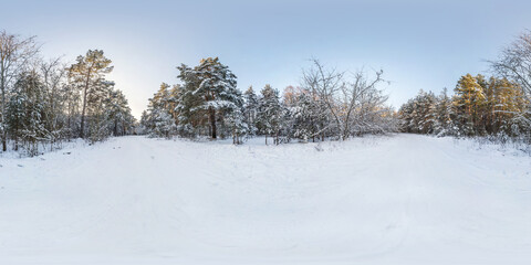 Fototapeta na wymiar Winter full spherical hdri panorama 360 degrees angle view on path in snowy pinery forest in equirectangular projection. VR AR content. cyclone aftermath lars