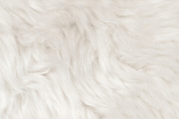 Natural animal white wool seamless texture background. light sheep wool. texture of fluffy fur for designers. close-up fragment white beige wool carpet