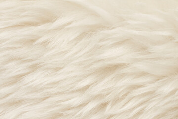 Obraz premium Natural animal white wool seamless texture background. light sheep wool. texture of fluffy fur for designers. close-up fragment white beige wool carpet