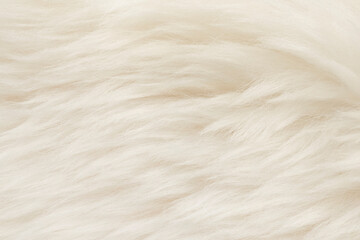 Natural animal white wool seamless texture background. light sheep wool. texture of fluffy fur for designers. close-up fragment white beige wool carpet