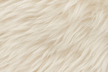 Natural animal white wool seamless texture background. light sheep wool. texture of fluffy fur for designers. close-up fragment white beige wool carpet