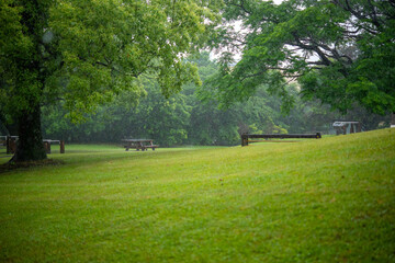Fototapeta na wymiar 雨の日の公園