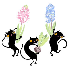 Three adorable cats with hyacinths. Vector cartoon illustration isolated on white. Perfect for greeting cards, invitations, and as a design element.