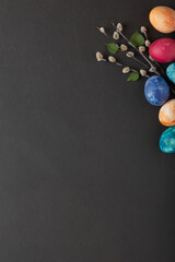 Easter eggs and pussy willow branches on a dark background. top view