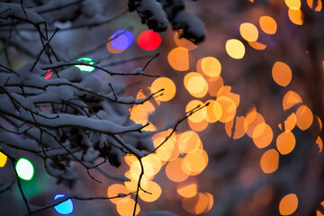 Tree branches covered by snow, glowing lights in background