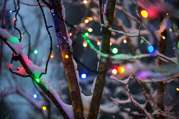 Colorful fairy lights on tree