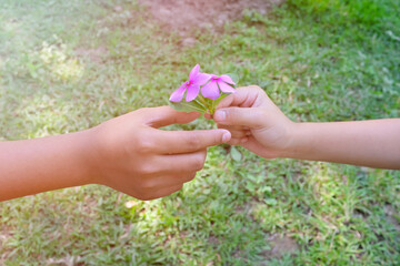 Child hand giving purple pink flowers with copy space. Friendship, kindness, caring, giving love...