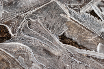 
close-up of frozen puddle of abstract shapes