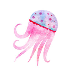 Multi-colored sea jellyfish. Watercolor drawing. The isolated object on a white background.