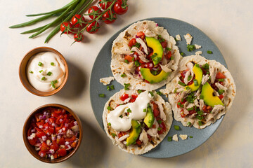 Mini tortillas with tomato salsa, avocado and boiled chicken. Top view.