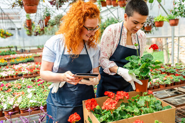 Two female florists working with flowers in a greenhouse preparing orders.