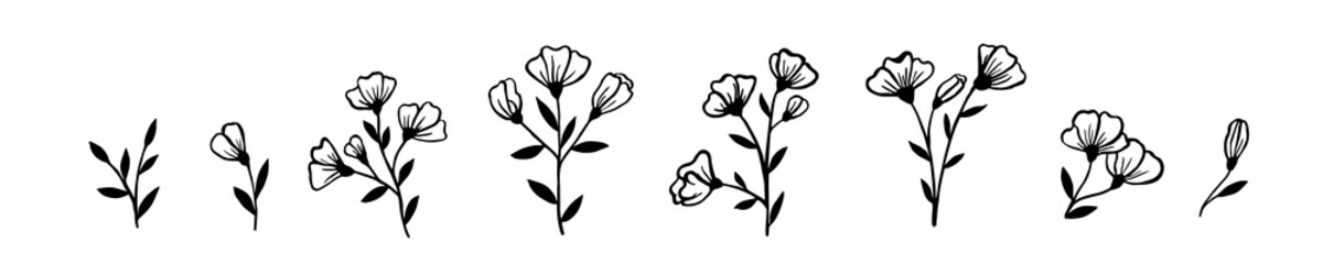 A set of field and garden flowers drawn by hand in ink on a white background. Twigs with leaves and buds sketch with a liner and a brush. Collection of botanical elements.