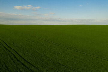 Beautiful horizon. Panoramic view of an endless agriculture field in countryside and a blue cloudy sky. Ukrainian landscapes. Green harvest field. Land covered with green grass. Green wheat field.