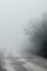 paisaje, camino en la naturaleza o en el campo, un dia con mucha niebla.