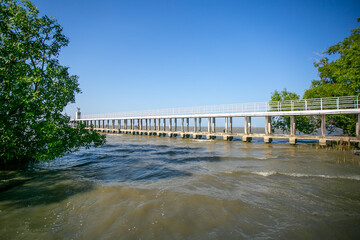 bridge over river in the park