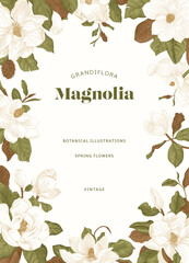 Magnolia. Spring flowers. Vector vintage botanical illustration. Invitation. Green and brown